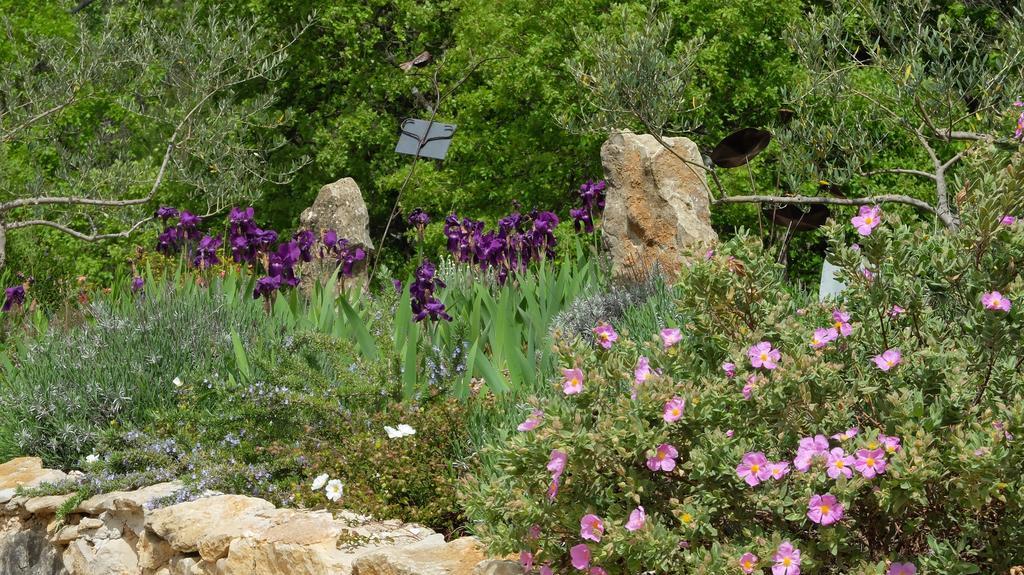 Les Hauts Des Materonnes Tourves Exterior foto